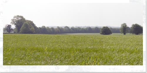 Panorama of Ballard Farm